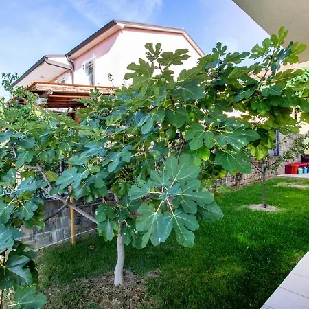 Nice In W/ 1 Bedrooms Apartment *